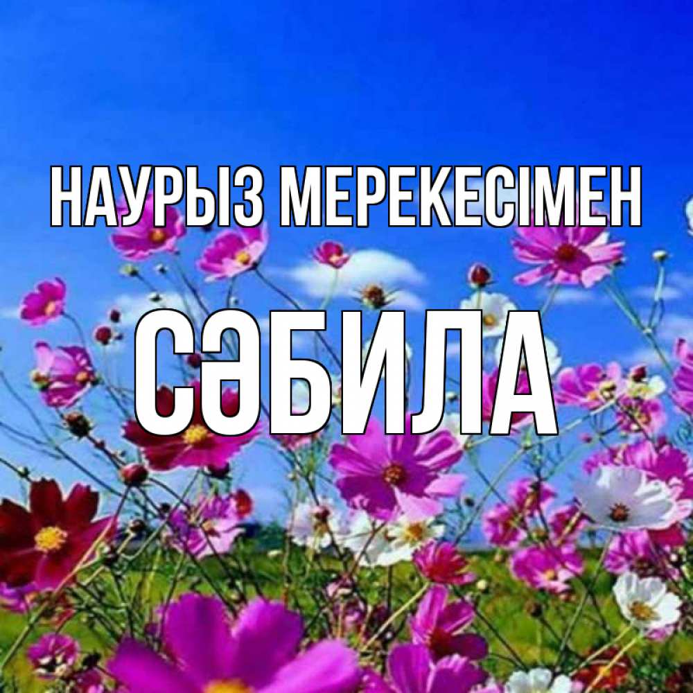 Күн сайын ашық хат с именем, СӘБИЛА Наурыз мерекесімен цветы Онлайн тегін жүктеп алу тілектері бар керемет карта 