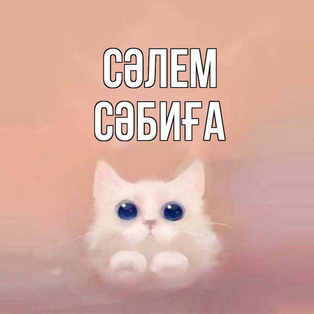 Күн сайын ашық хат с именем, СӘБИҒА Сәлем котик белый в полете Онлайн тегін жүктеп алу тілектері бар керемет карта 