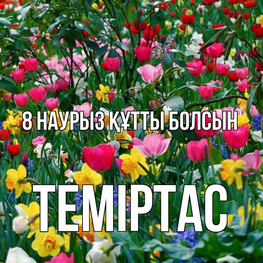 Күн сайын ашық хат с именем, ТЕМІРТАС 8 наурыз құтты болсын с международным женским днем поздравления для женщины Онлайн тегін жүктеп алу тілектері бар керемет карта 