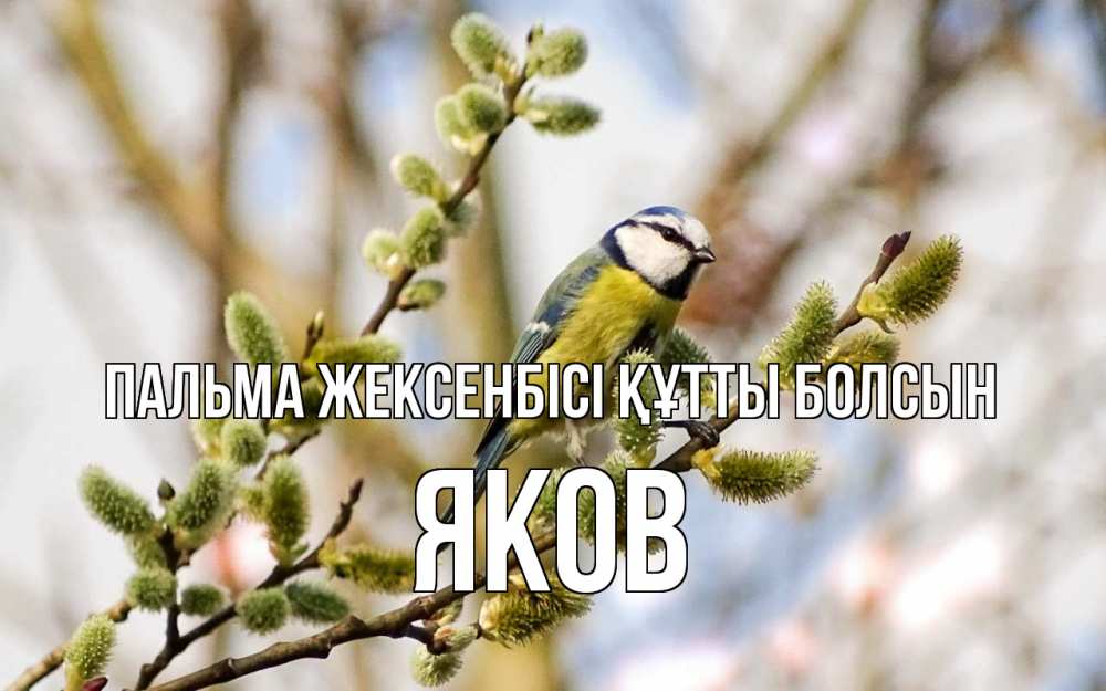 Күн сайын ашық хат с именем, Яков Пальма жексенбісі құтты болсын верба Онлайн тегін жүктеп алу тілектері бар керемет карта 