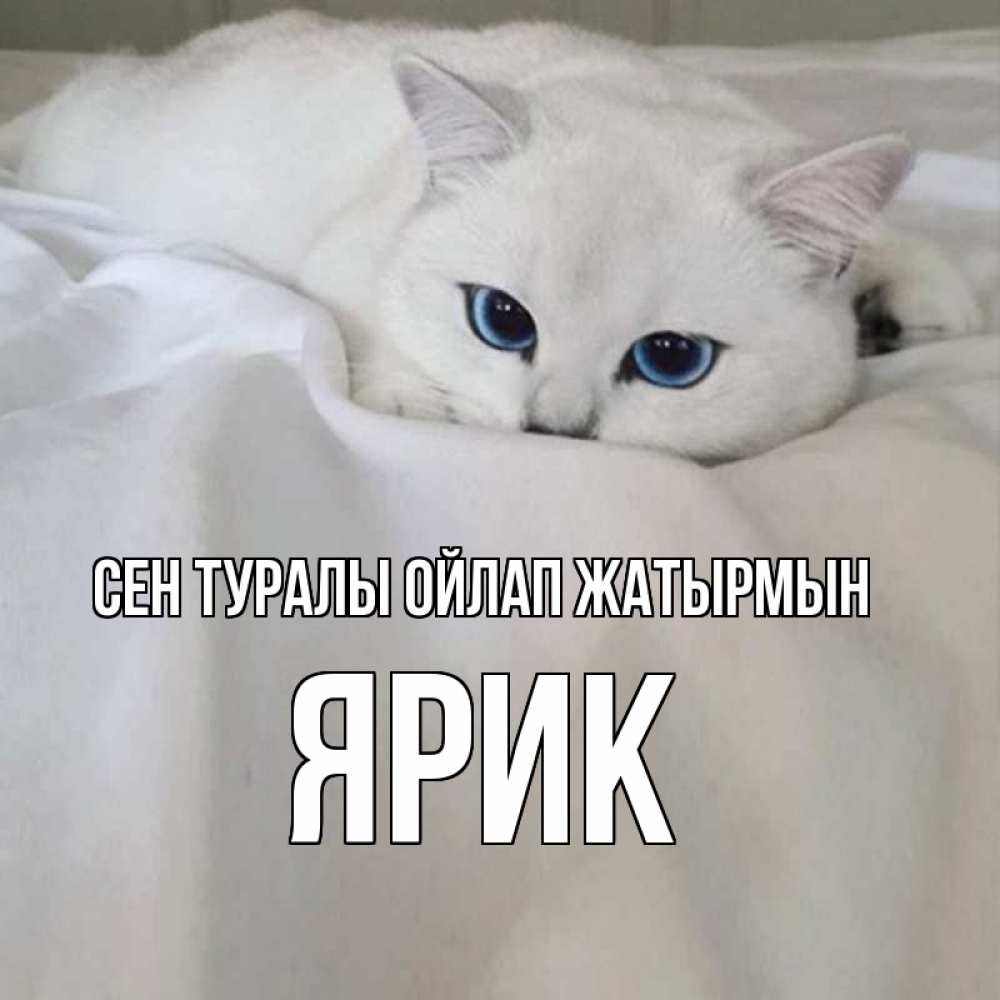 Күн сайын ашық хат с именем, Ярик Сен туралы ойлап жатырмын я очень по тебе скучаю и тоскую Онлайн тегін жүктеп алу тілектері бар керемет карта 