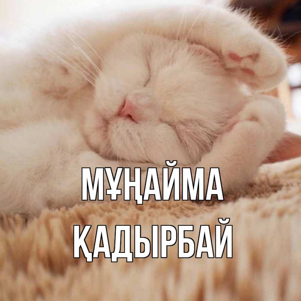 Күн сайын ашық хат с именем, Қадырбай Мұңайма белый кот Онлайн тегін жүктеп алу тілектері бар керемет карта 