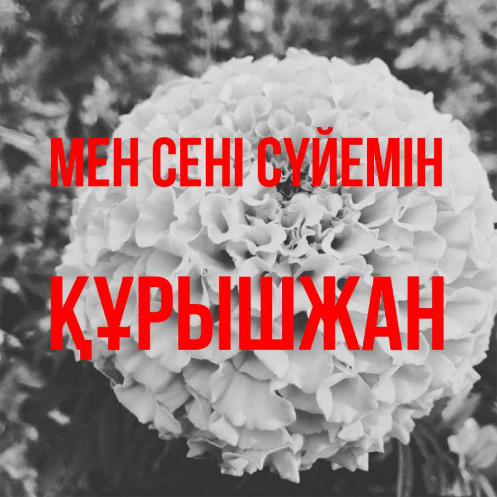 Күн сайын ашық хат с именем, ҚҰРЫШЖАН Мен сені сүйемін подпись Онлайн тегін жүктеп алу тілектері бар керемет карта 