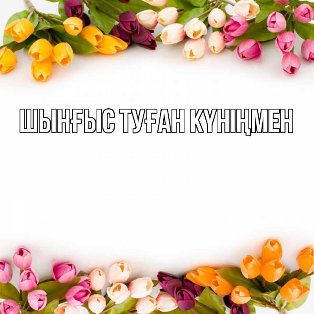 Картинка  с именем , ШЫНҒЫС! ТУҒАН КҮНІҢМЕН!