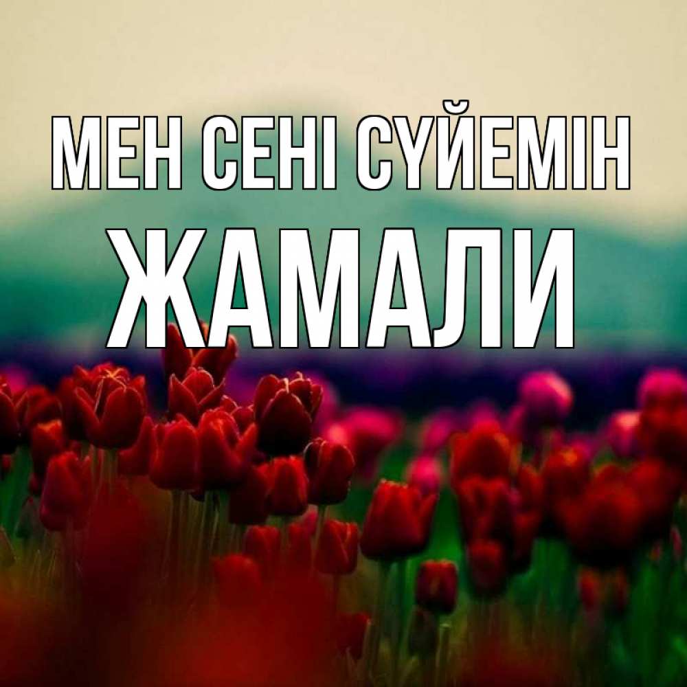 Күн сайын ашық хат с именем, ЖАМАЛИ Мен сені сүйемін тюльпаны 4 Онлайн тегін жүктеп алу тілектері бар керемет карта 