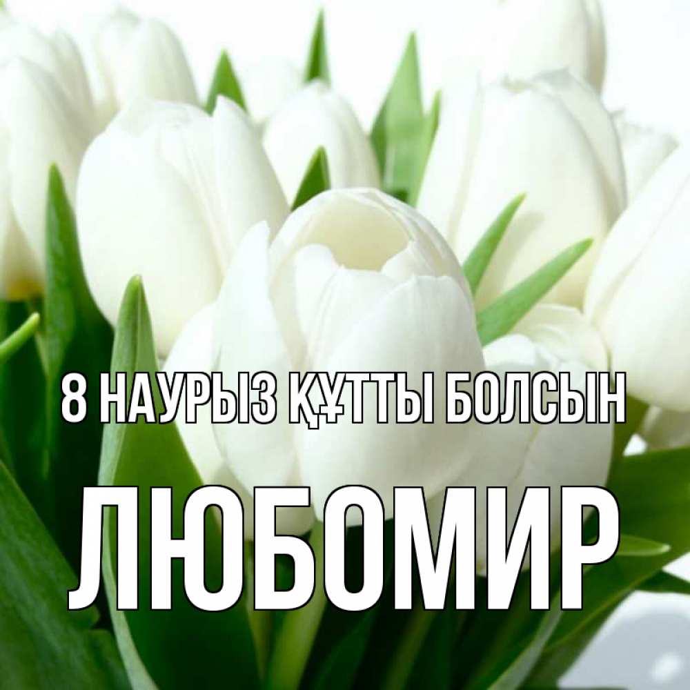Күн сайын ашық хат с именем, Любомир 8 наурыз құтты болсын цветы Онлайн тегін жүктеп алу тілектері бар керемет карта 