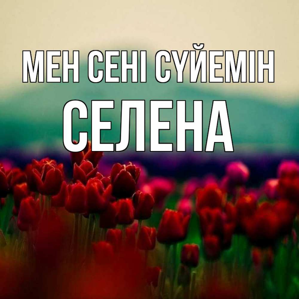 Күн сайын ашық хат с именем, Селена Мен сені сүйемін тюльпаны 4 Онлайн тегін жүктеп алу тілектері бар керемет карта 