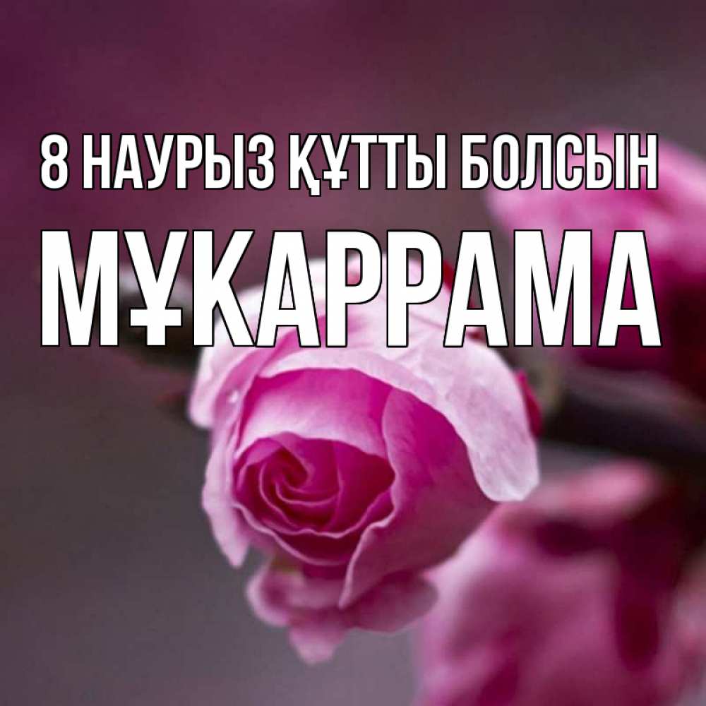 Күн сайын ашық хат с именем, МҰКАРРАМА 8 наурыз құтты болсын весна Онлайн тегін жүктеп алу тілектері бар керемет карта 