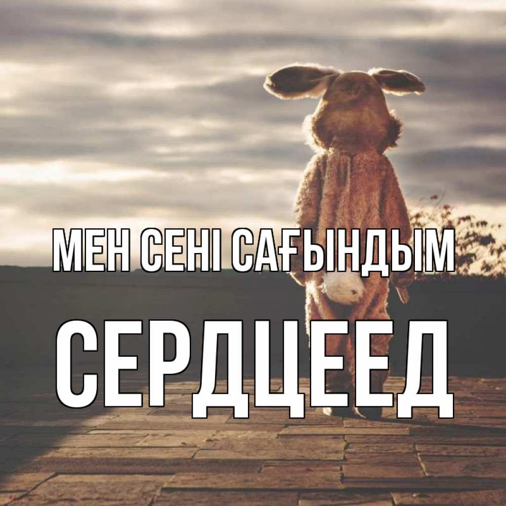 Күн сайын ашық хат с именем, Сердцеед Мен сені сағындым даже в костюме зайца Онлайн тегін жүктеп алу тілектері бар керемет карта 