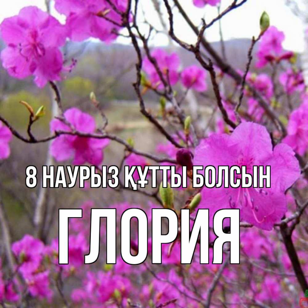 Күн сайын ашық хат с именем, Глория 8 наурыз құтты болсын международный женский день Онлайн тегін жүктеп алу тілектері бар керемет карта 