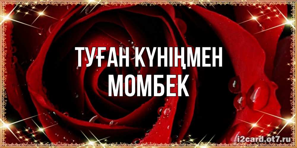 Күн сайын ашық хат с именем, МОМБЕК Туған күніңмен цветок в росе на день рождения Онлайн тегін жүктеп алу тілектері бар керемет карта 