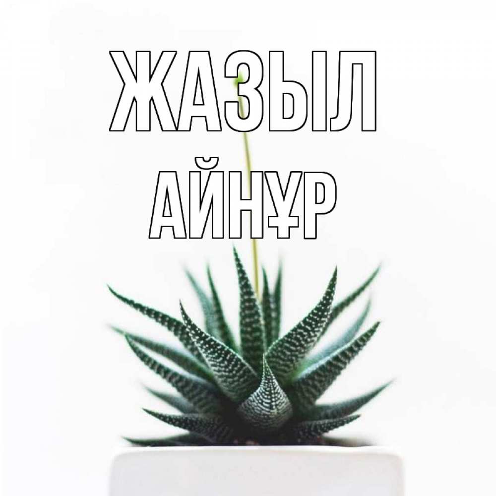 Күн сайын ашық хат с именем, АЙНҰР Жазыл короче это непонятная колючка Онлайн тегін жүктеп алу тілектері бар керемет карта 
