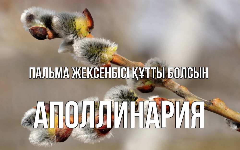 Күн сайын ашық хат с именем, Аполлинария Пальма жексенбісі құтты болсын Верба Онлайн тегін жүктеп алу тілектері бар керемет карта 