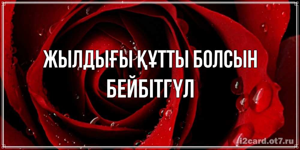 Күн сайын ашық хат с именем, БЕЙБІТГҮЛ Жылдығы құтты болсын крупная бордовая роза Онлайн тегін жүктеп алу тілектері бар керемет карта 