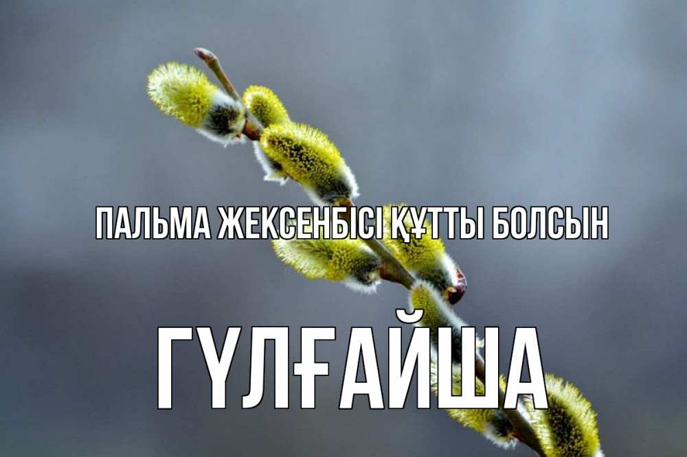 Күн сайын ашық хат с именем, ГҮЛҒАЙША Пальма жексенбісі құтты болсын верба Онлайн тегін жүктеп алу тілектері бар керемет карта 