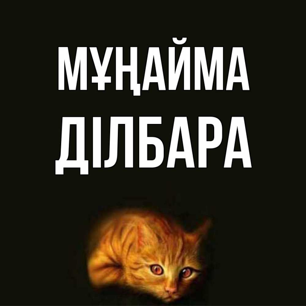 Күн сайын ашық хат с именем, ДІЛБАРА Мұңайма лежащий кот в темноте Онлайн тегін жүктеп алу тілектері бар керемет карта 