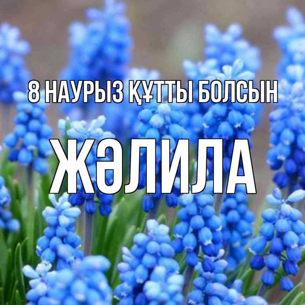 Күн сайын ашық хат с именем, ЖӘЛИЛА 8 наурыз құтты болсын Поздравительная открытка для женщин с цветами на праздничную дату Онлайн тегін жүктеп алу тілектері бар керемет карта 