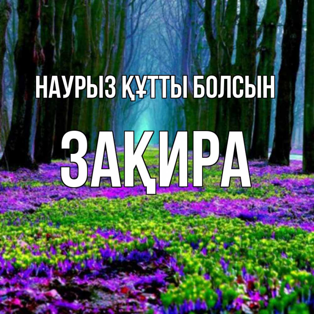 Күн сайын ашық хат с именем, ЗАҚИРА Наурыз құтты болсын фиолетовые цветы в лесу 1 Онлайн тегін жүктеп алу тілектері бар керемет карта 