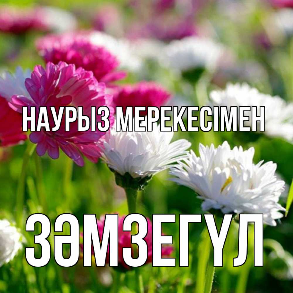 Күн сайын ашық хат с именем, ЗӘМЗЕГҮЛ Наурыз мерекесімен праздник весны наурыз красота Онлайн тегін жүктеп алу тілектері бар керемет карта 