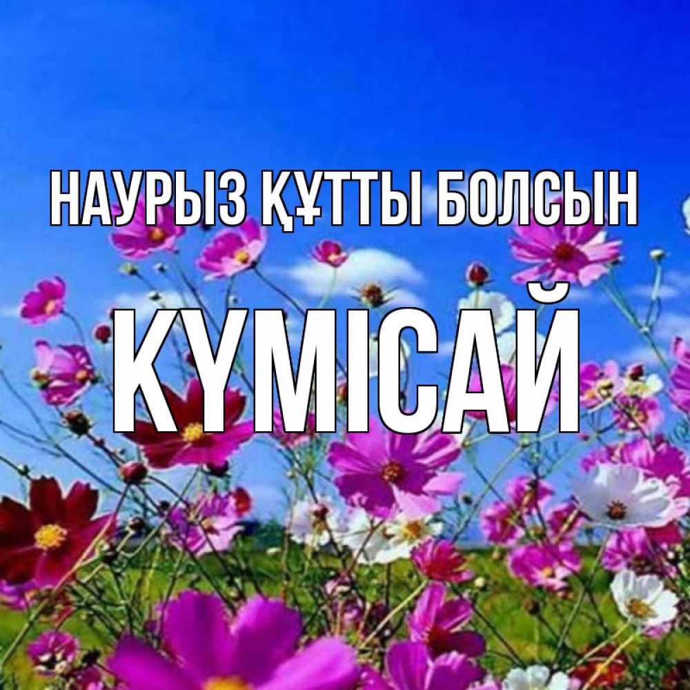 Күн сайын ашық хат с именем, КҮМІСАЙ Наурыз құтты болсын цветы Онлайн тегін жүктеп алу тілектері бар керемет карта 