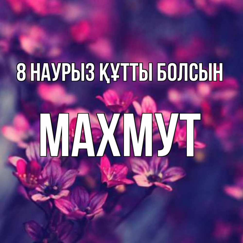 Күн сайын ашық хат с именем, МАХМУТ 8 наурыз құтты болсын небольшие цветы 1 Онлайн тегін жүктеп алу тілектері бар керемет карта 