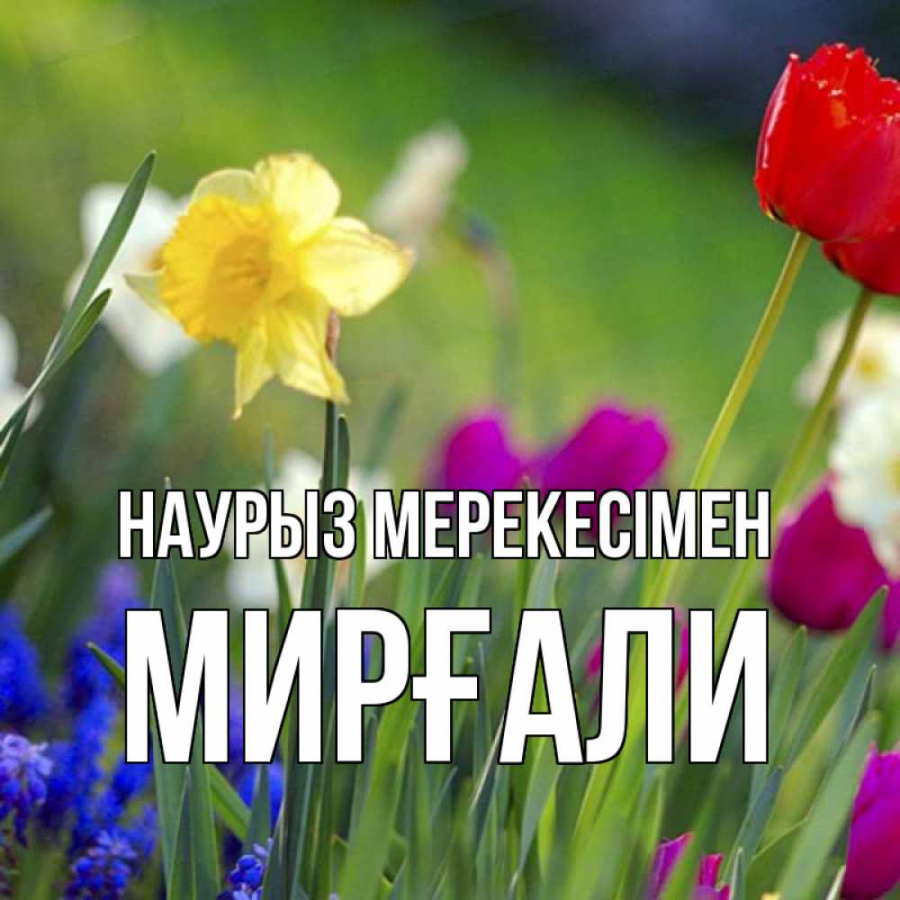 Күн сайын ашық хат с именем, МИРҒАЛИ Наурыз мерекесімен праздник весны наурыз 3 Онлайн тегін жүктеп алу тілектері бар керемет карта 