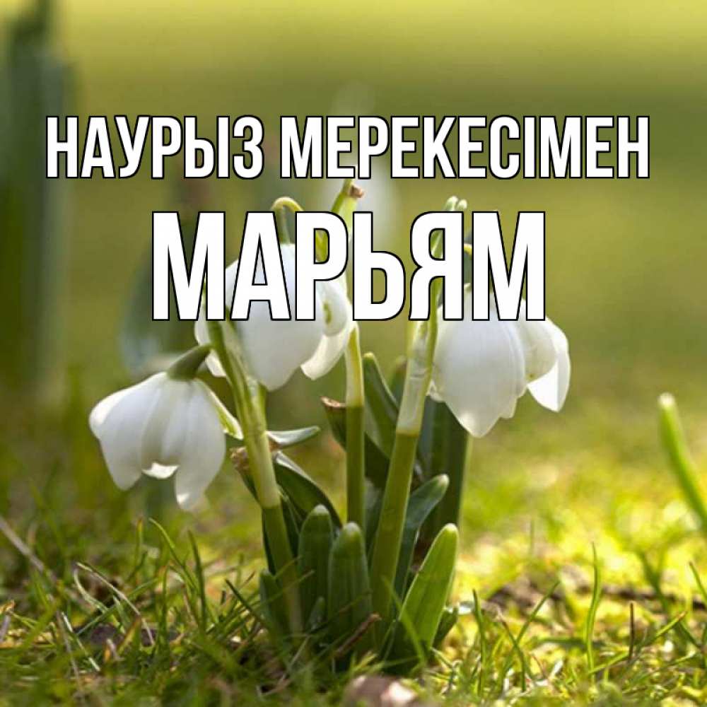 Күн сайын ашық хат с именем, Марьям Наурыз мерекесімен ранние цветы 2 Онлайн тегін жүктеп алу тілектері бар керемет карта 