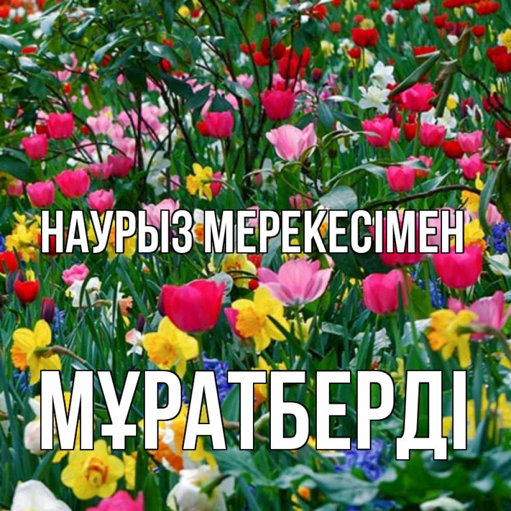 Күн сайын ашық хат с именем, Мұратберді Наурыз мерекесімен с наурызом праздником весны поздравления для женщины Онлайн тегін жүктеп алу тілектері бар керемет карта 