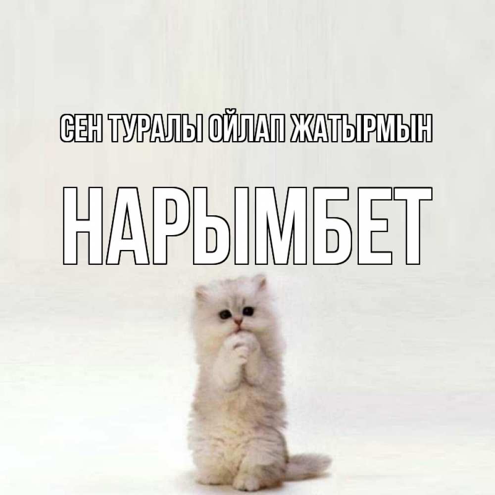 Күн сайын ашық хат с именем, Нарымбет Сен туралы ойлап жатырмын кот стоит на задних лапах Онлайн тегін жүктеп алу тілектері бар керемет карта 