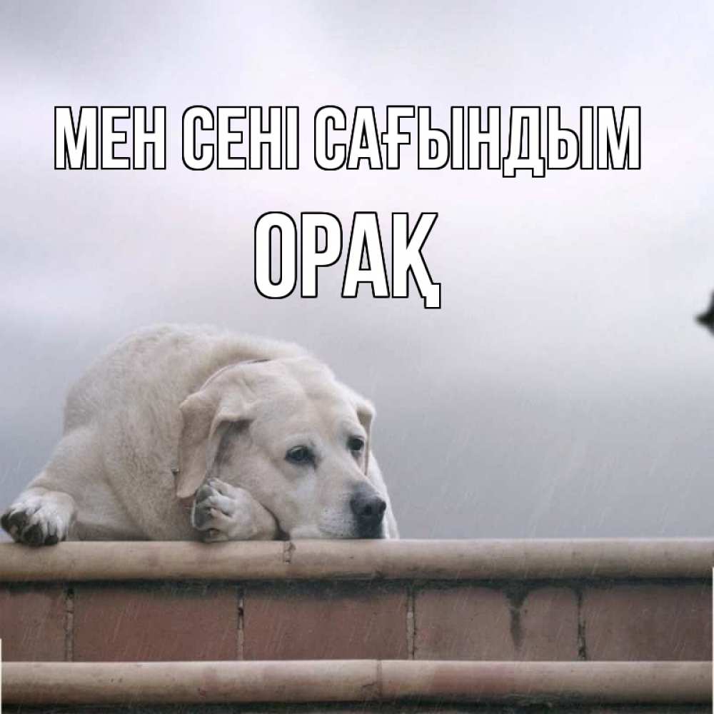 Күн сайын ашық хат с именем, ОРАҚ Мен сені сағындым ждет Онлайн тегін жүктеп алу тілектері бар керемет карта 
