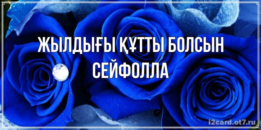 Күн сайын ашық хат с именем, СЕЙФОЛЛА Жылдығы құтты болсын синие розы в росе Онлайн тегін жүктеп алу тілектері бар керемет карта 