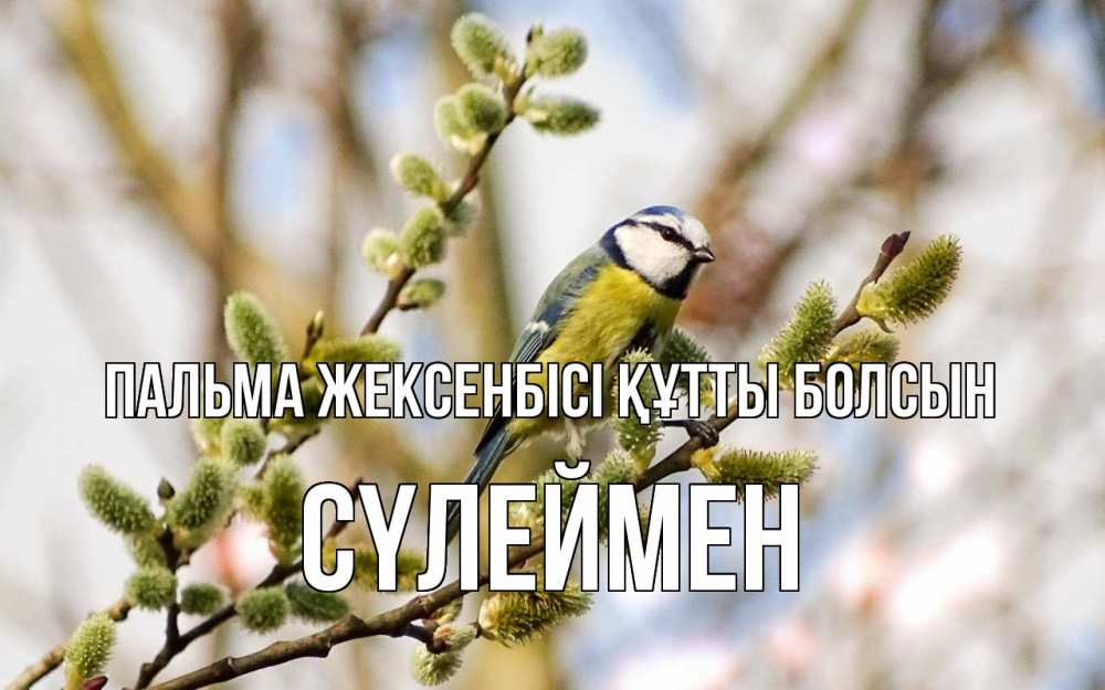 Күн сайын ашық хат с именем, СҮЛЕЙМЕН Пальма жексенбісі құтты болсын верба Онлайн тегін жүктеп алу тілектері бар керемет карта 