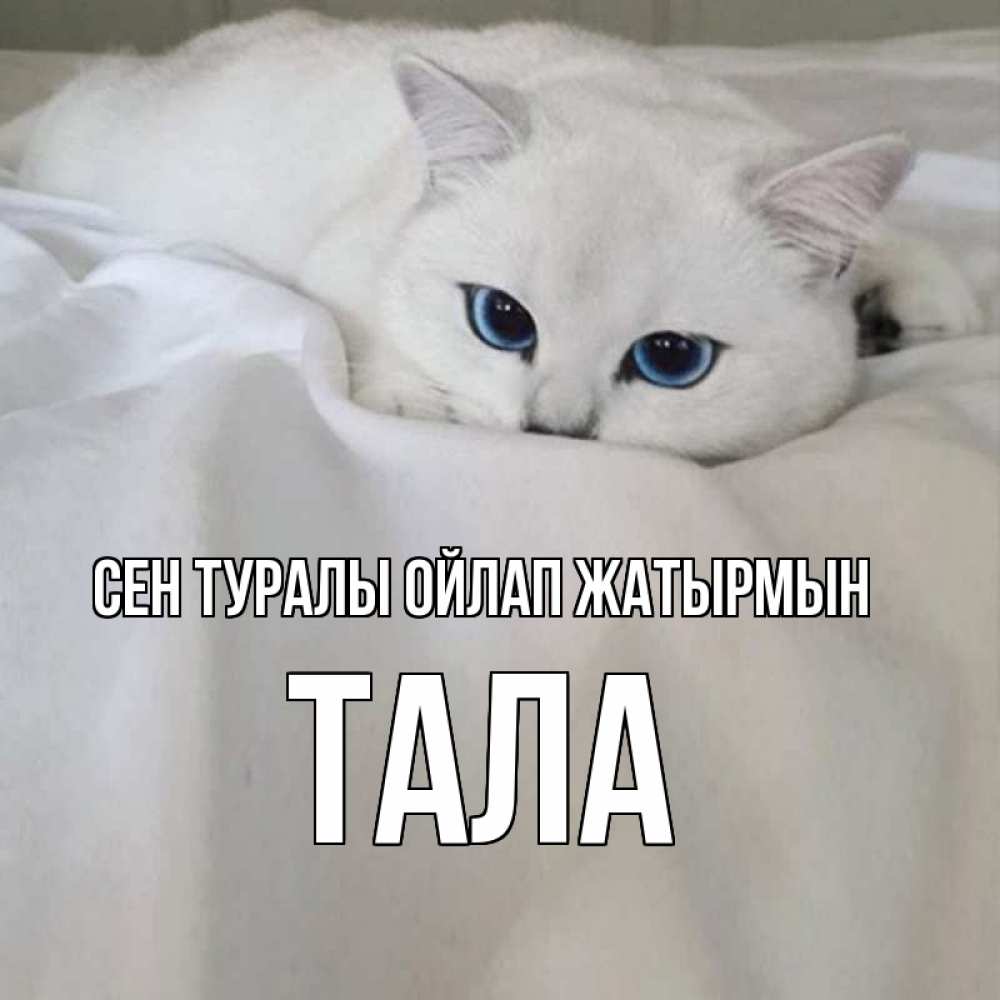 Күн сайын ашық хат с именем, Тала Сен туралы ойлап жатырмын я очень по тебе скучаю и тоскую Онлайн тегін жүктеп алу тілектері бар керемет карта 