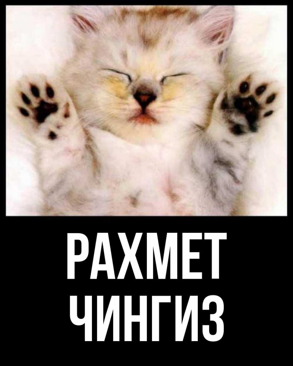 Күн сайын ашық хат с именем, Чингиз рахмет маленький котенок Онлайн тегін жүктеп алу тілектері бар керемет карта 