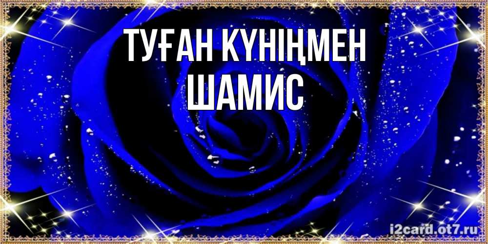 Күн сайын ашық хат с именем, ШАМИС Туған күніңмен голубые цветы в росе Онлайн тегін жүктеп алу тілектері бар керемет карта 