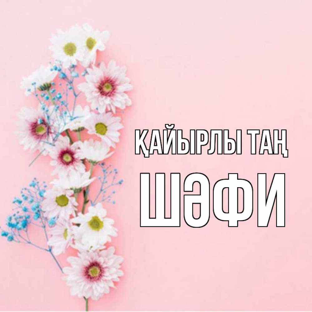 Күн сайын ашық хат с именем, ШӘФИ Қайырлы таң цветы с подписью Онлайн тегін жүктеп алу тілектері бар керемет карта 