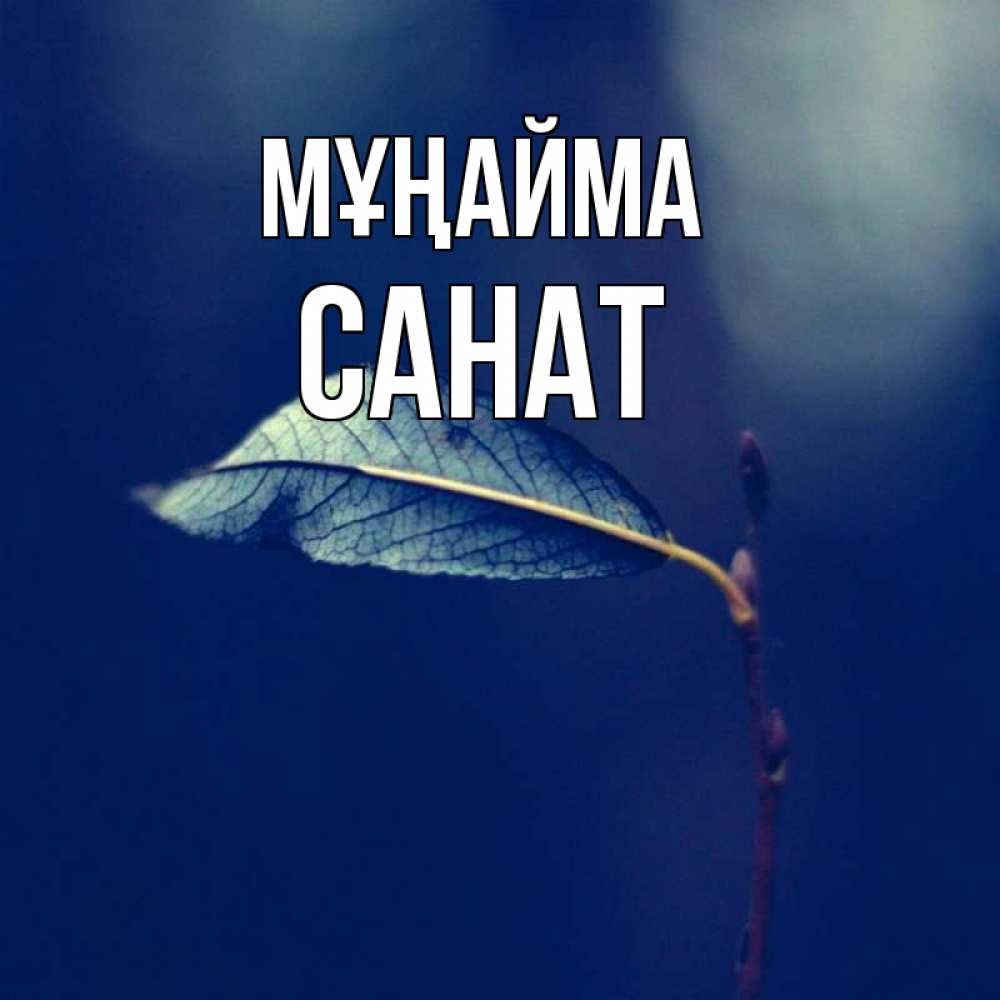 Күн сайын ашық хат с именем, САНАТ Мұңайма растение Онлайн тегін жүктеп алу тілектері бар керемет карта 