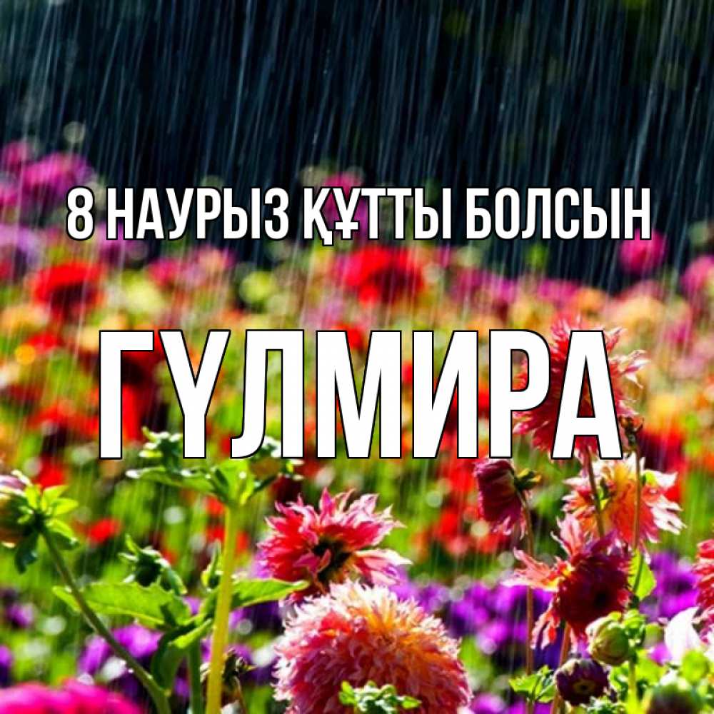 Күн сайын ашық хат с именем, ГҮЛМИРА 8 наурыз құтты болсын цветы под дождиком к международному женскому дню Онлайн тегін жүктеп алу тілектері бар керемет карта 