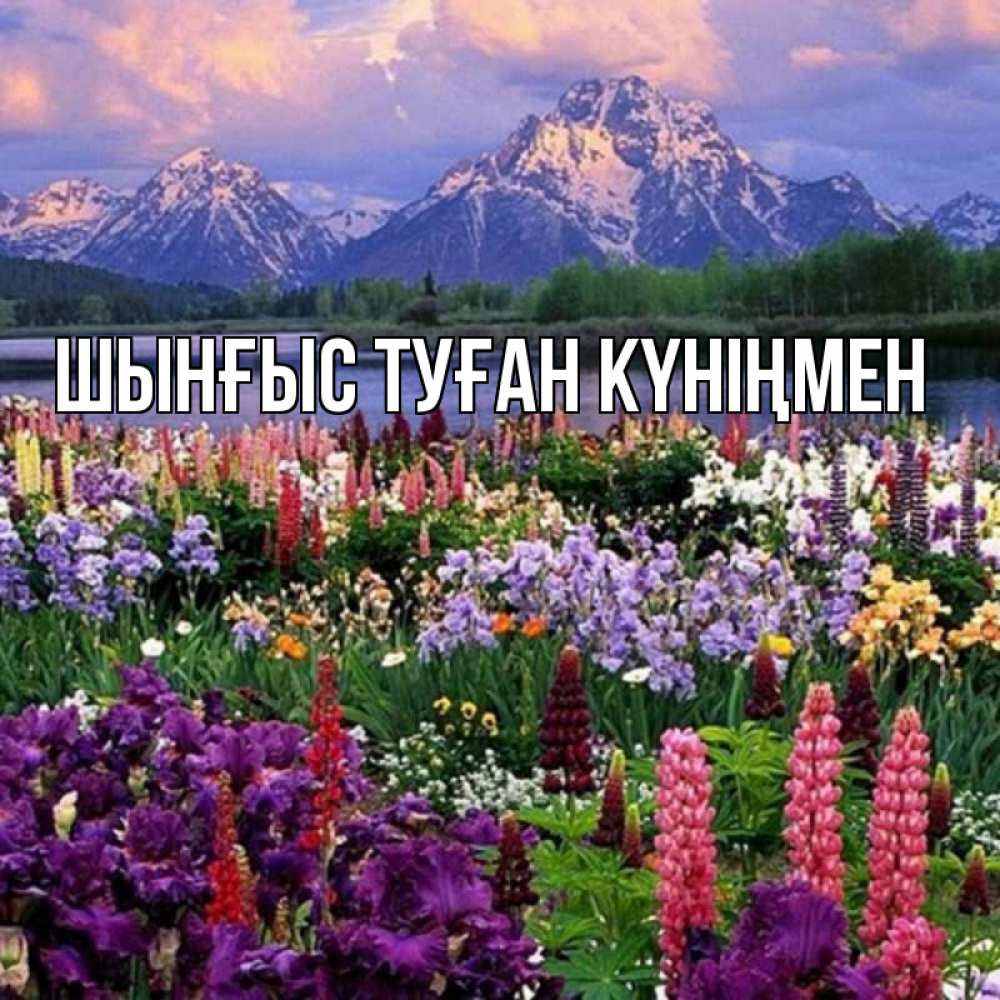 Картинка  с именем , ШЫНҒЫС! ТУҒАН КҮНІҢМЕН!