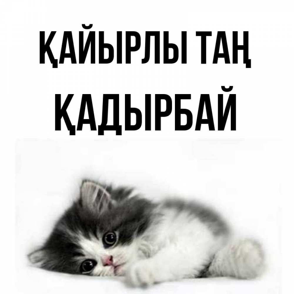 Күн сайын ашық хат с именем, Қадырбай Қайырлы таң кот лапки Онлайн тегін жүктеп алу тілектері бар керемет карта 