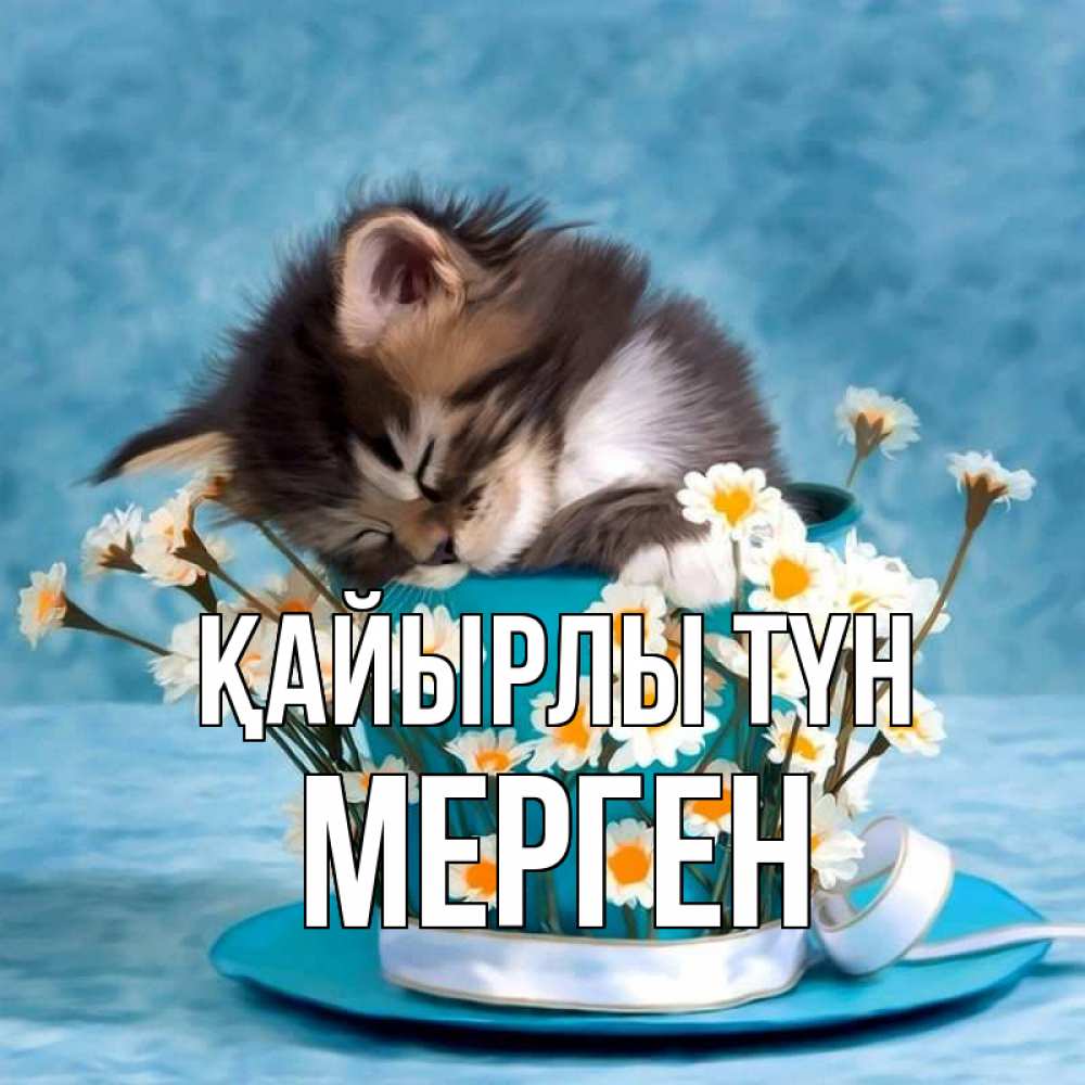 Күн сайын ашық хат с именем, МЕРГЕН Қайырлы түн котенок спит в кружке с блюдцем Онлайн тегін жүктеп алу тілектері бар керемет карта 