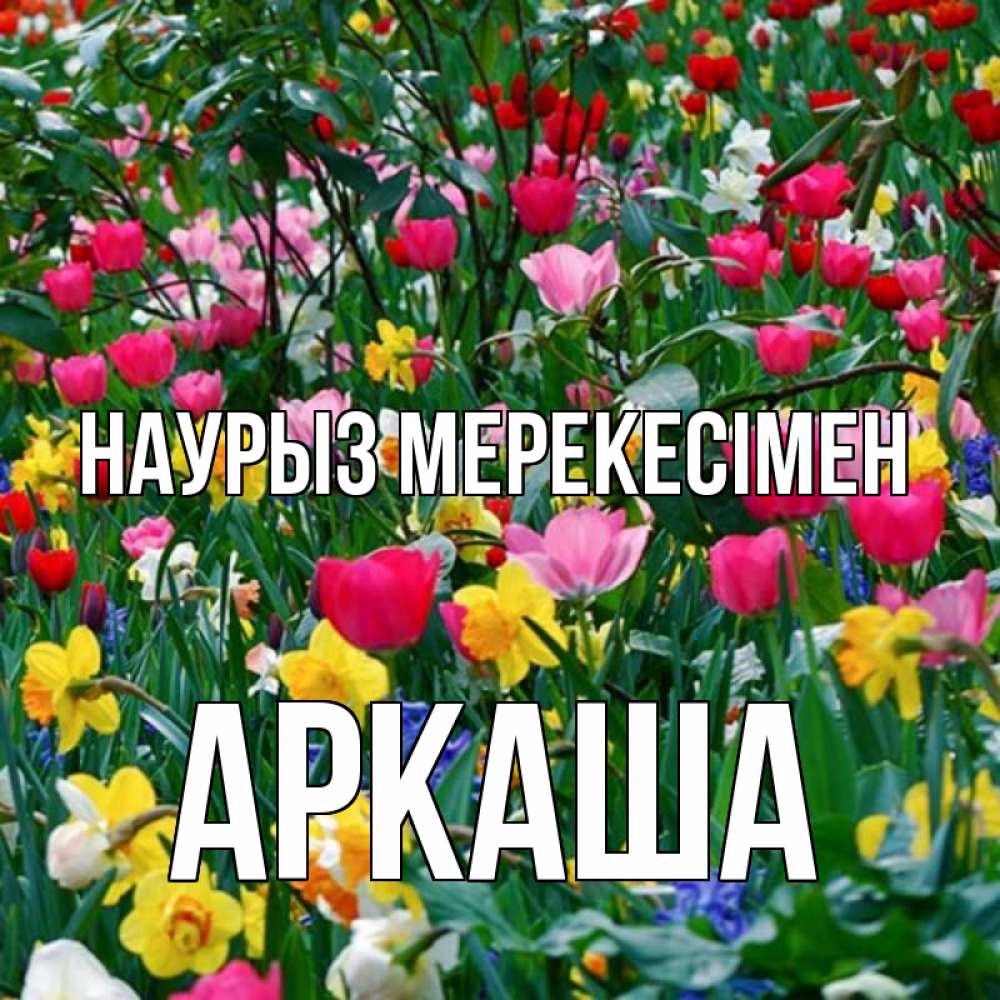 Күн сайын ашық хат с именем, Аркаша Наурыз мерекесімен с наурызом праздником весны поздравления для женщины Онлайн тегін жүктеп алу тілектері бар керемет карта 