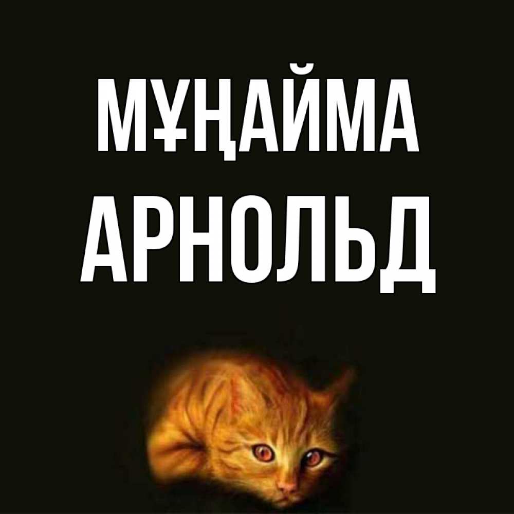 Күн сайын ашық хат с именем, Арнольд Мұңайма лежащий кот в темноте Онлайн тегін жүктеп алу тілектері бар керемет карта 
