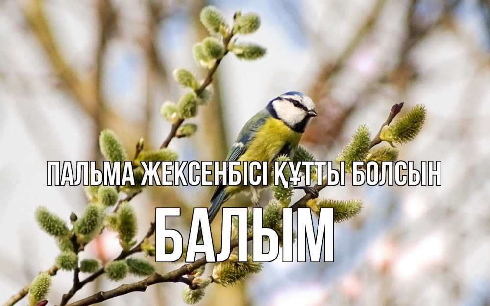Күн сайын ашық хат с именем, БАЛЫМ Пальма жексенбісі құтты болсын верба Онлайн тегін жүктеп алу тілектері бар керемет карта 