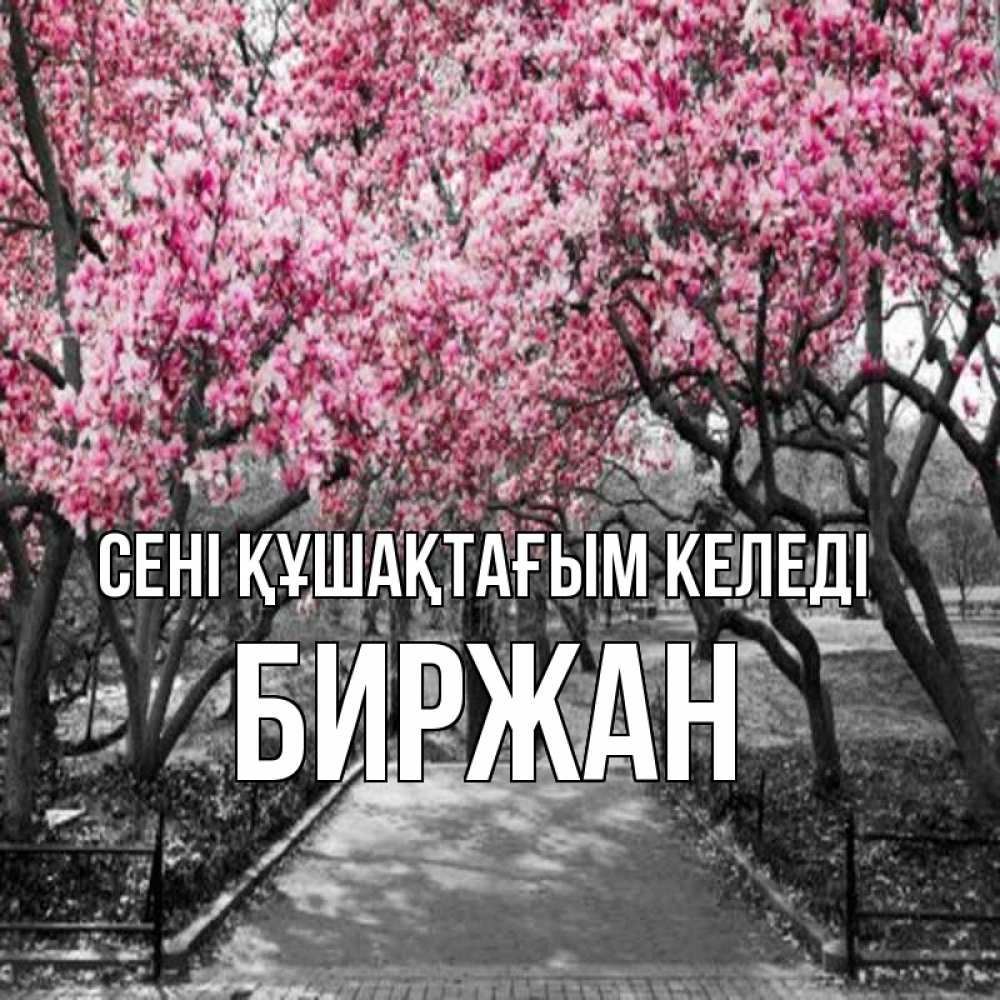 Күн сайын ашық хат с именем, Биржан сені құшақтағым келеді обработанное фото Онлайн тегін жүктеп алу тілектері бар керемет карта 