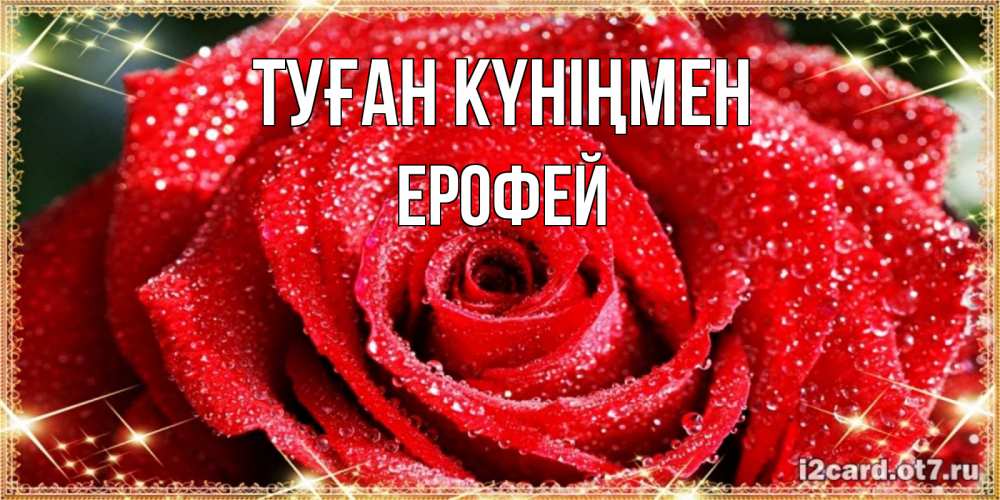 Күн сайын ашық хат с именем, Ерофей Туған күніңмен роса и роза. открытка с красивой розой Онлайн тегін жүктеп алу тілектері бар керемет карта 