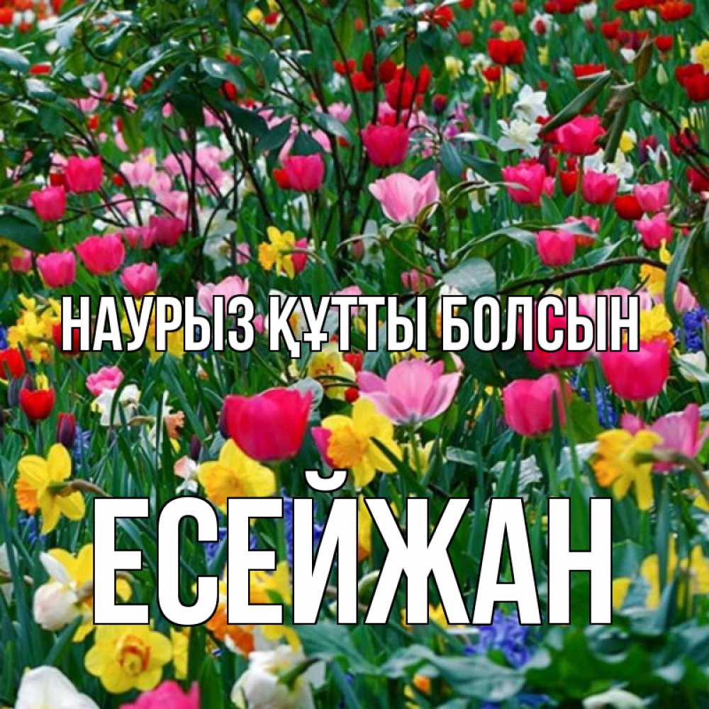 Күн сайын ашық хат с именем, Есейжан Наурыз құтты болсын с наурызом поздравления для женщины Онлайн тегін жүктеп алу тілектері бар керемет карта 