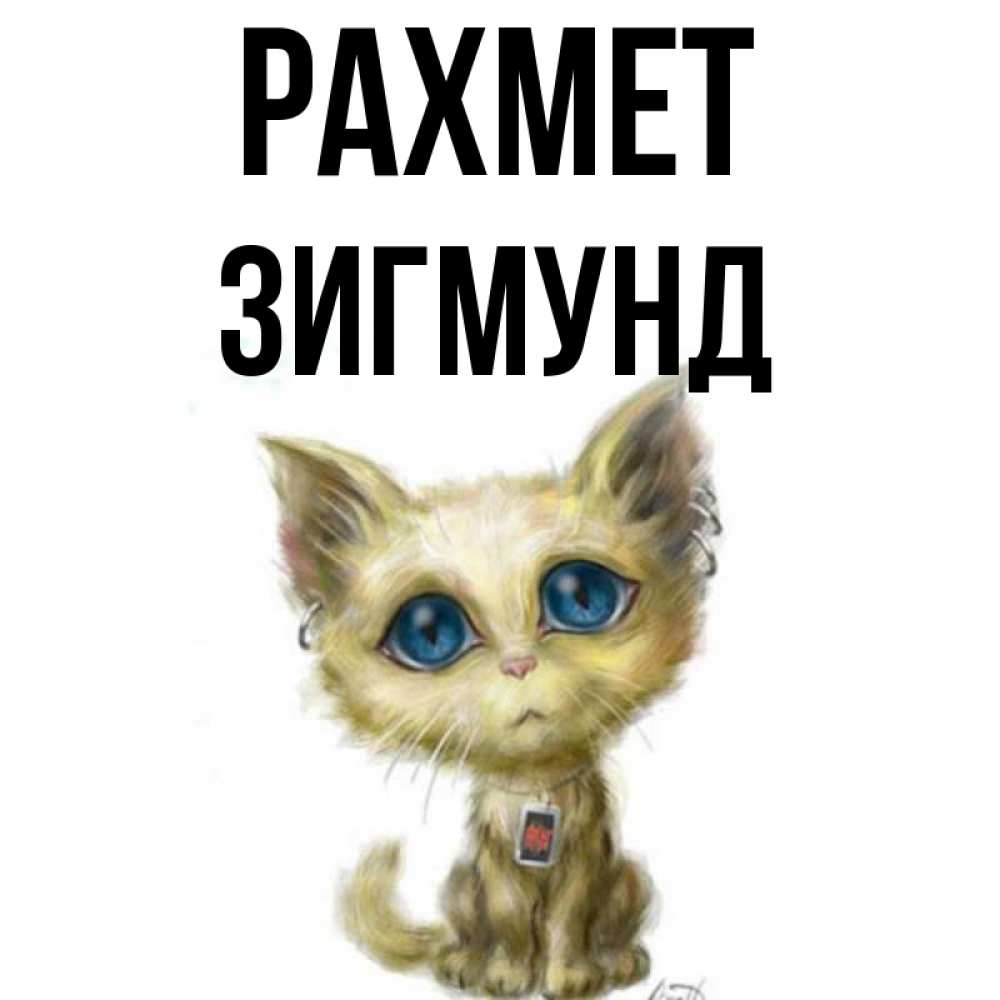 Күн сайын ашық хат с именем, Зигмунд рахмет рисованный кот благодарит вас Онлайн тегін жүктеп алу тілектері бар керемет карта 