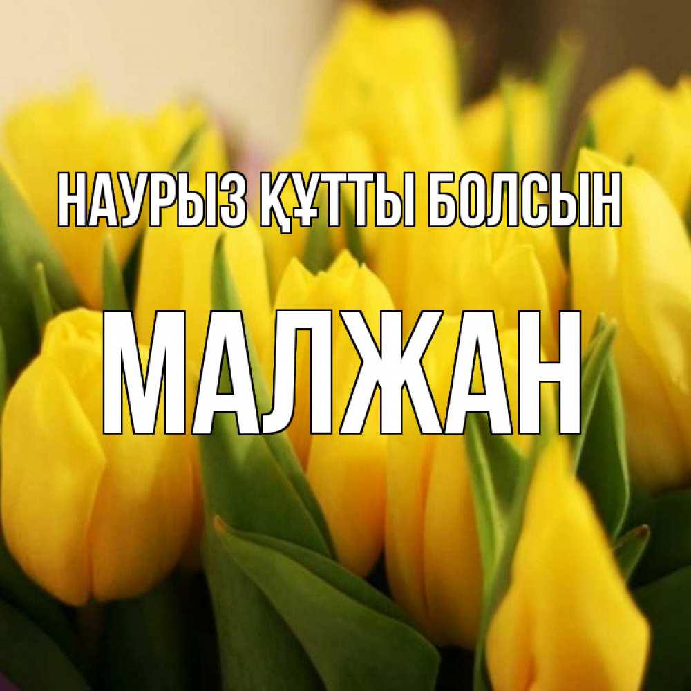 Күн сайын ашық хат с именем, МАЛЖАН Наурыз құтты болсын цветы Онлайн тегін жүктеп алу тілектері бар керемет карта 