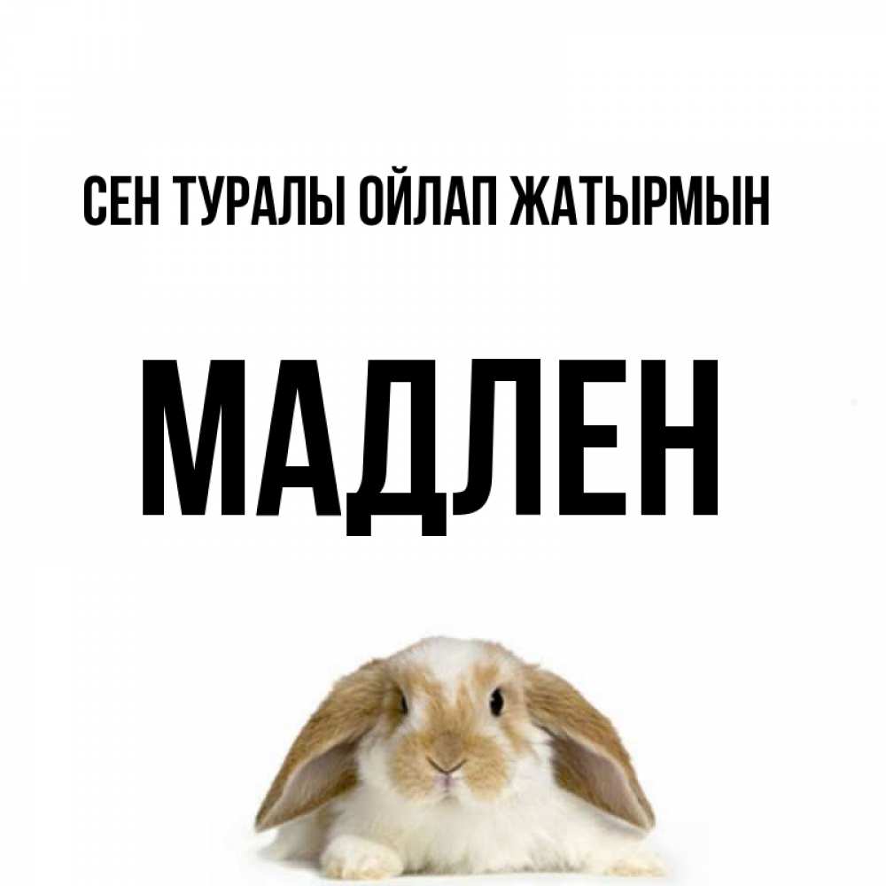 Күн сайын ашық хат с именем, Мадлен Сен туралы ойлап жатырмын подписать своими руками онлайн Онлайн тегін жүктеп алу тілектері бар керемет карта 